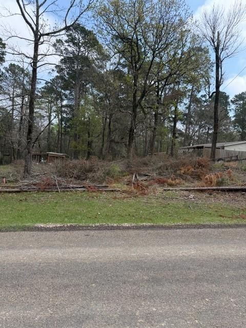 Vacant Land For Sale - LOT 213 Dogwood Drive<br/> Trinity, TX 75862