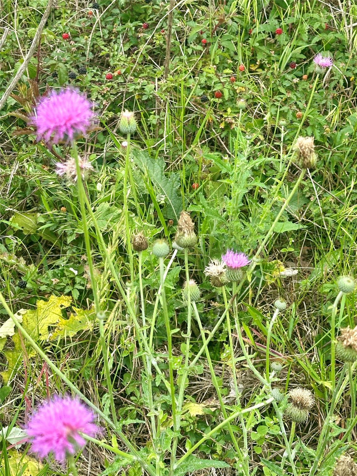 159 N Witte Rd Ranch NE