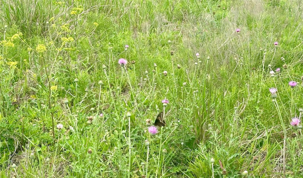 Photo of 159 N Witte Rd Ranch NE, Bellville, TX 77418 (MLS # 40605372)