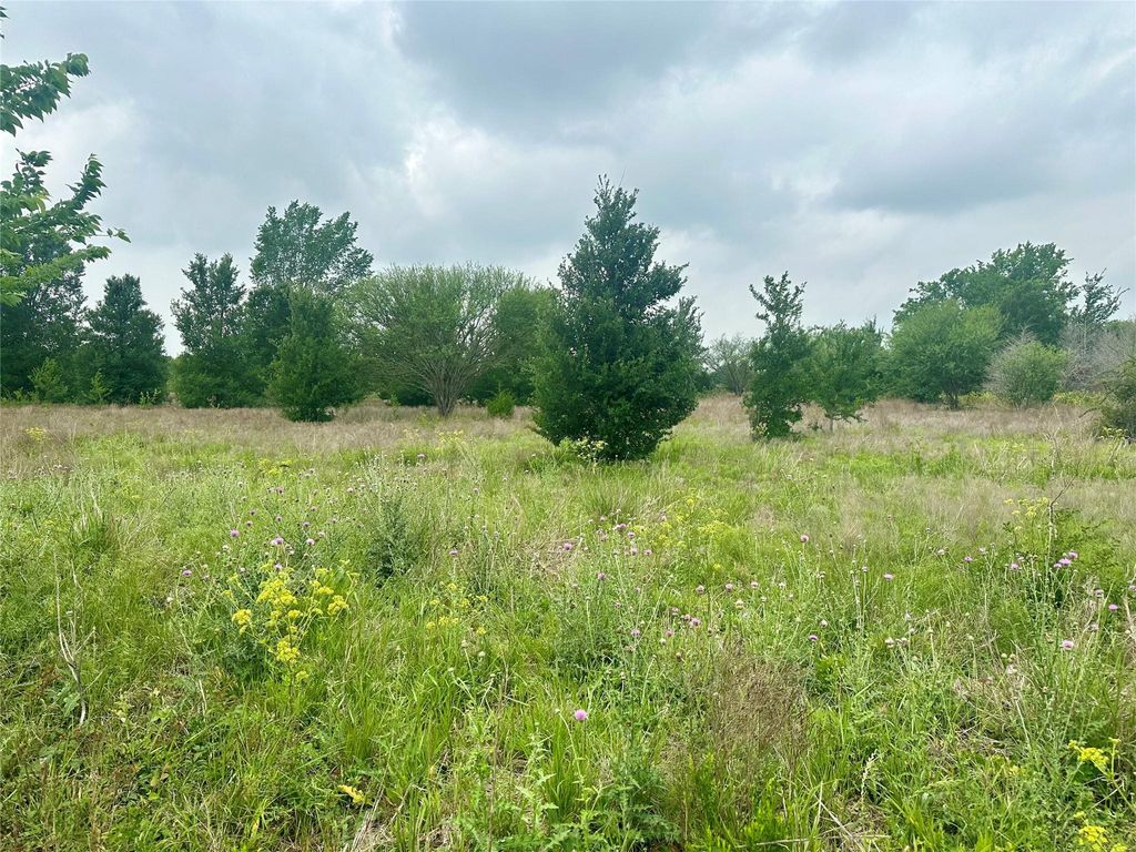 Photo of 159 N Witte Rd Ranch NE, Bellville, TX 77418 (MLS # 40605372)