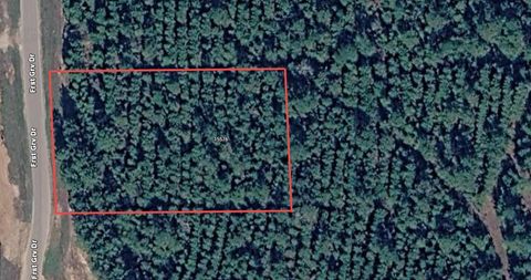 Photo of 15576 Forest Grove Drive, Willis, TX 77378 (MLS # 97240665)