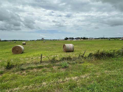 Photo of 0 Cr100, Boling, TX 77420 (MLS # 39194706)