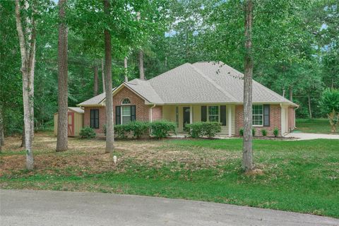 Photo of 811 Mark Anthony Street, New Caney, TX 77357 (MLS # 90371314)