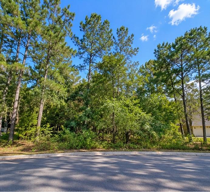 Photo of 0 Colosseum Ct, Roman Forest, TX 77357 (MLS # 50740099)