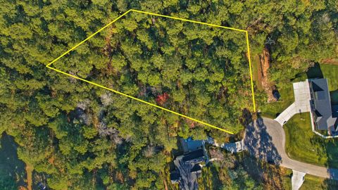 Photo of 8602 Cedar Meadow Lane, Plantersville, TX 77363 (MLS # 18021427)