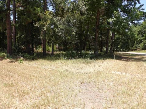 Vacant Land For Sale - 681 Plum Tree<br/> Polk County, Livingston, TX 77351
