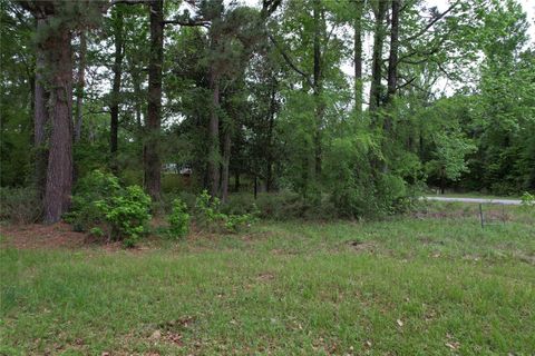 Photo of 681 Plum Tree, Livingston, TX 77351 (MLS # 65723522)