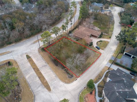 3003 Green Vista Houston TX 77068