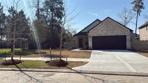 Photo of 9848 Sweet Flag Ct Ct, Conroe, TX 77385 (MLS # 96307612)