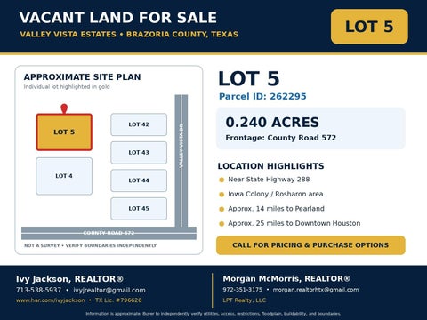 Vacant Land For Sale - LOT 5 County Rd 572<br/> Rosharon, TX 77584