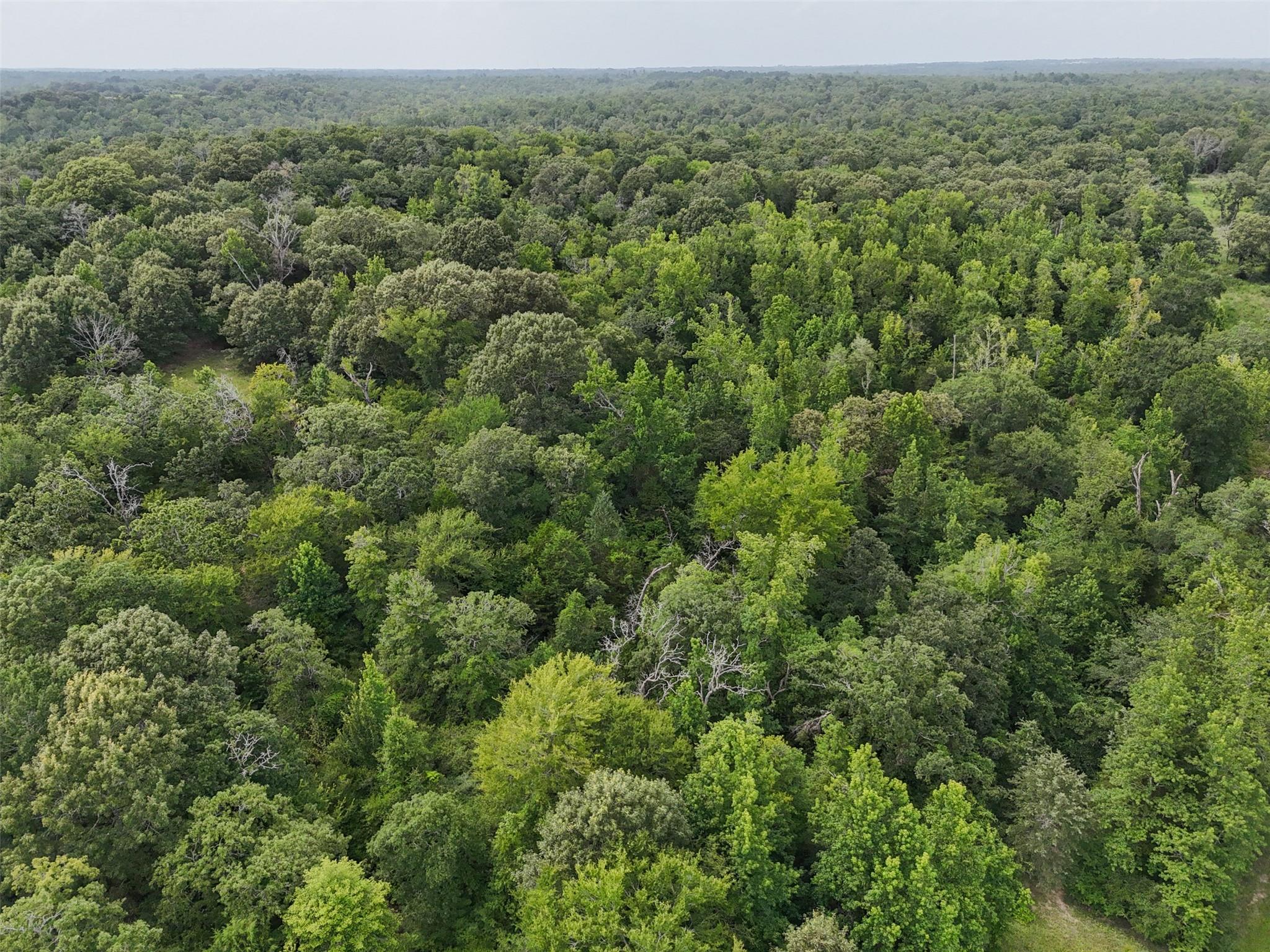 225 Private Road 2026