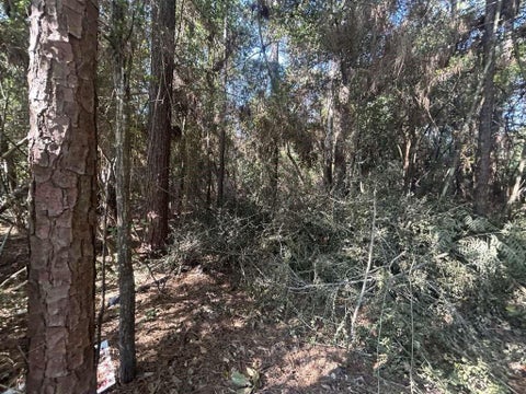 Vacant Land For Sale - LOT 334 Powdrill<br/> Buna, TX 77612