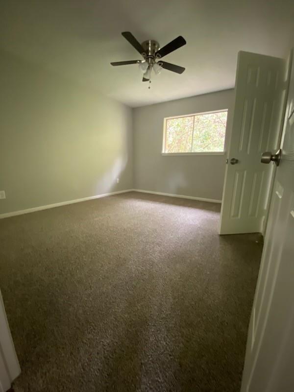14251 Juliedale