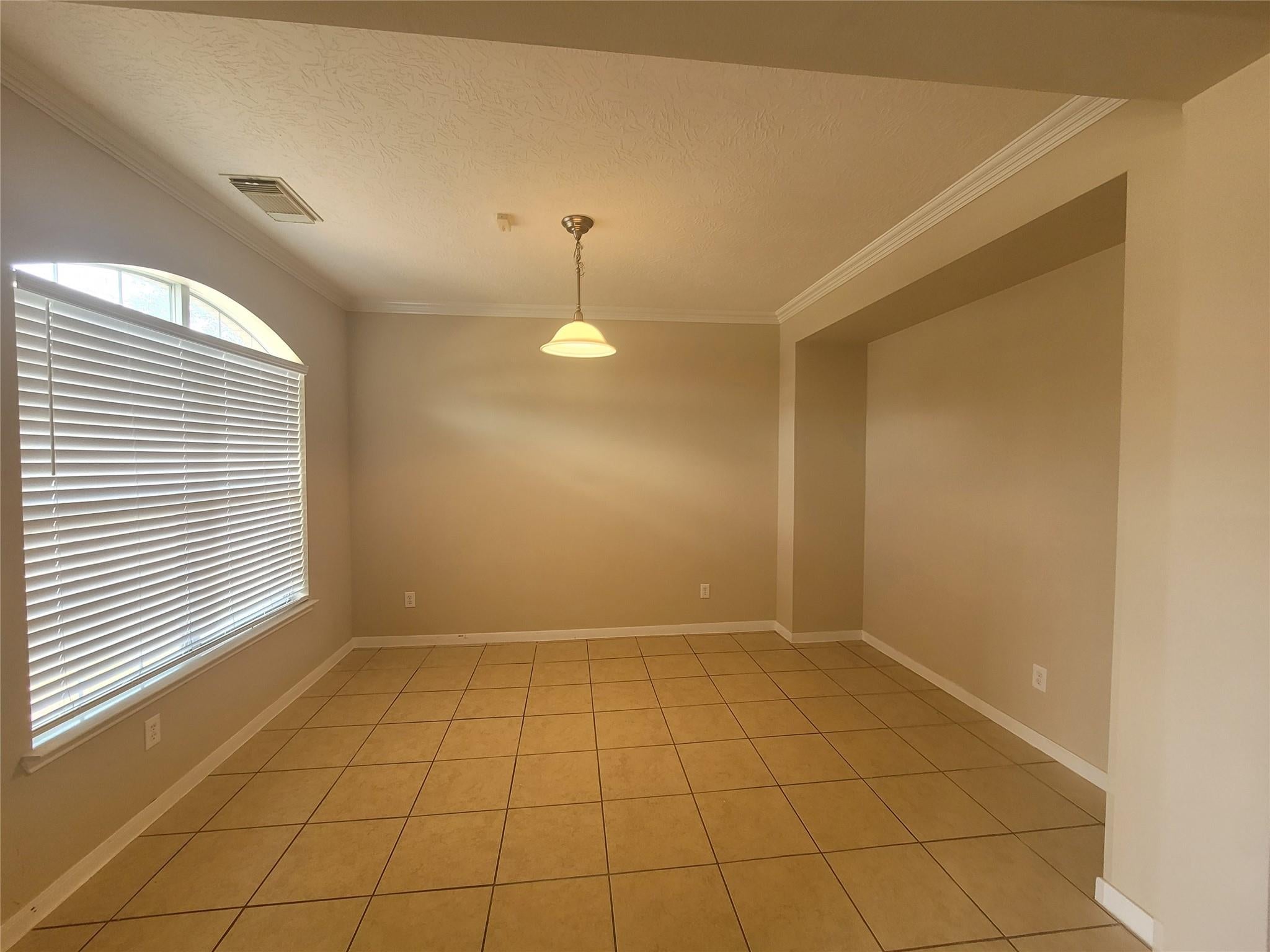 17211 Brookhollow Grove Court