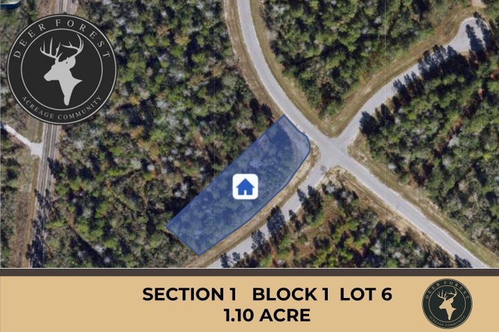 Photo 1 of 21 — 127 Gypsum Road, New Waverly, TX 77358