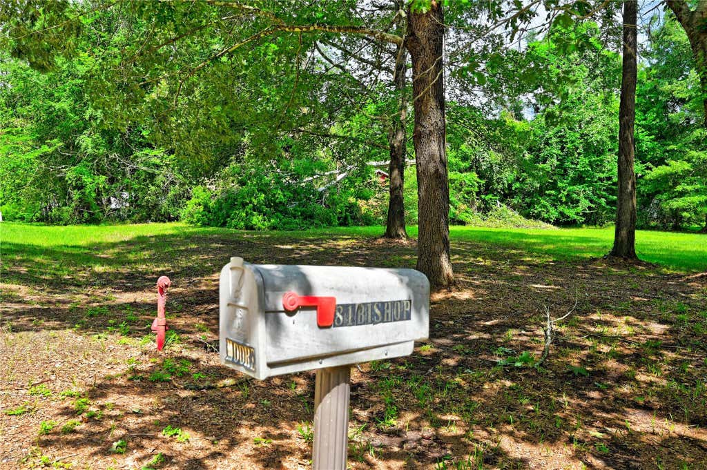 Photo of 81 E Bishop Road, Point Blank, TX 77364 (MLS # 45714667)