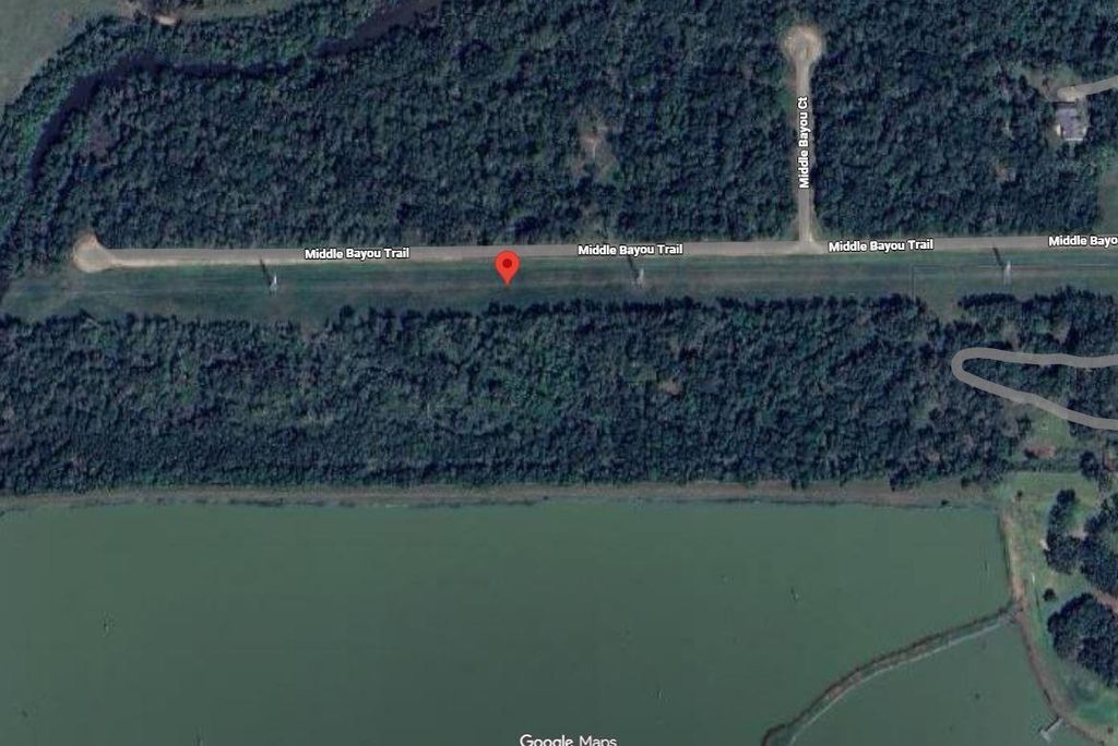 Photo of 255 Middle Bayou Trail, Angleton, TX 77515 (MLS # 13136318)