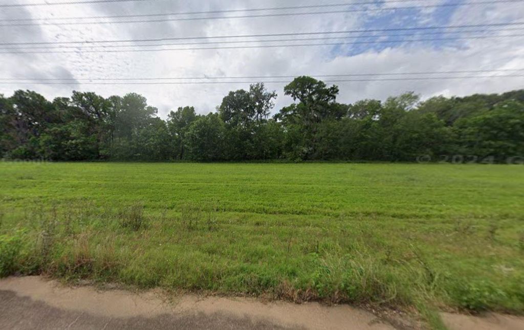 Photo of 255 Middle Bayou Trail, Angleton, TX 77515 (MLS # 13136318)