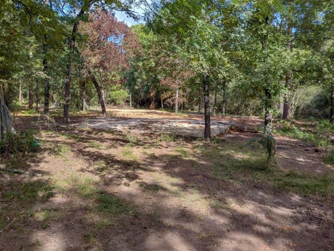 Photo of 230 Private Road 8305, Woodville, TX 75979 (MLS # 87002453)
