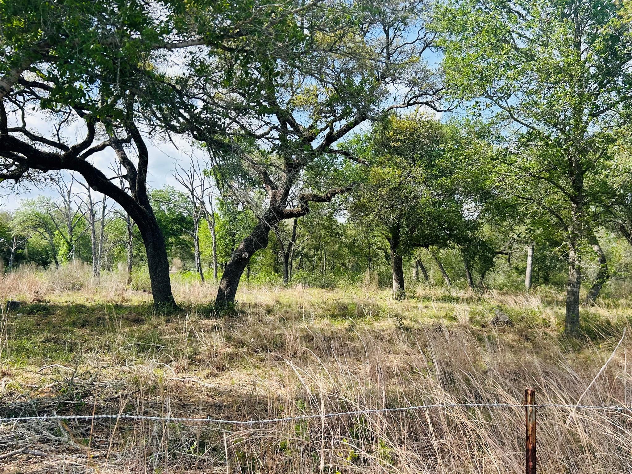 1390 County Road 106