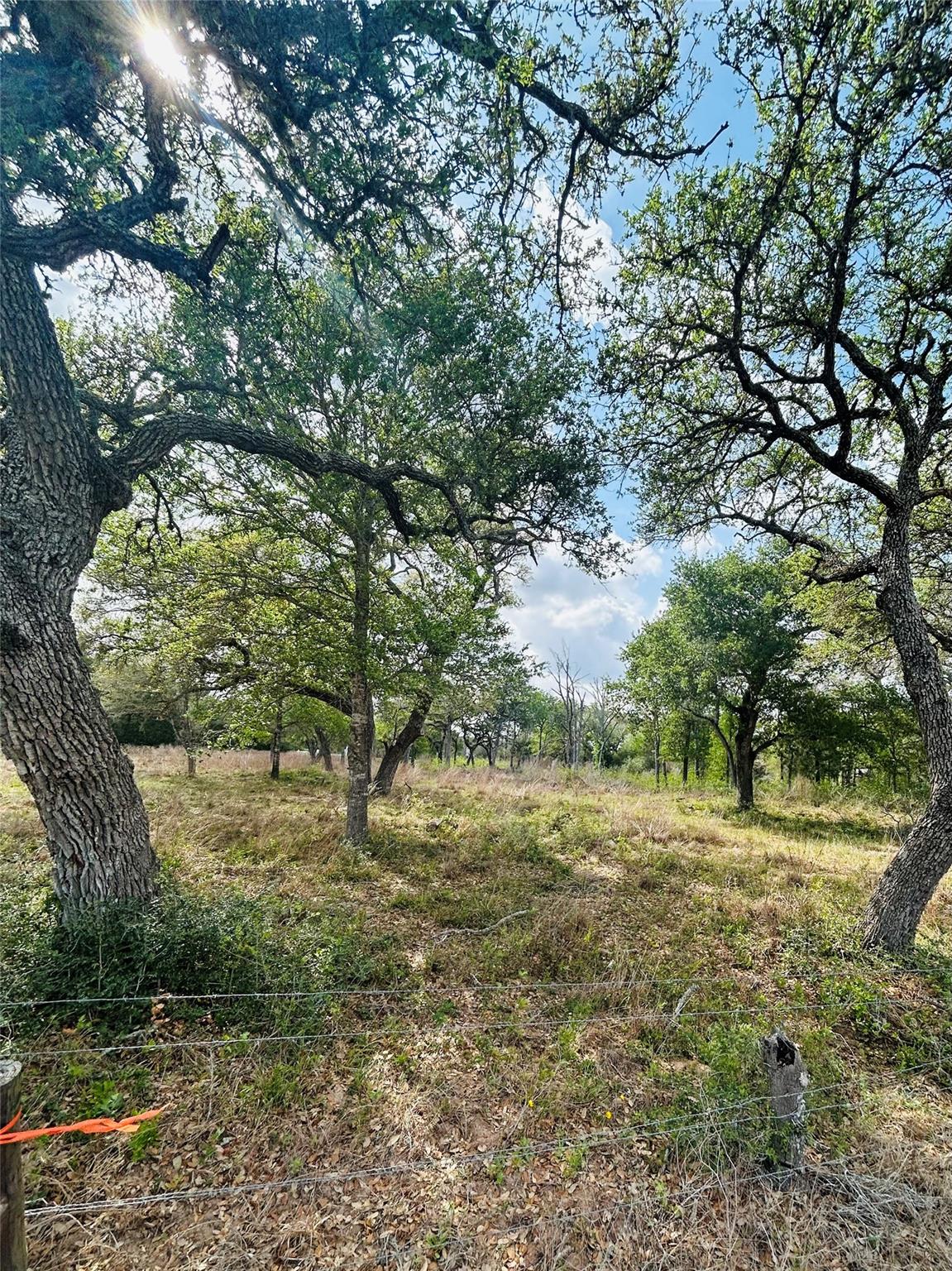 1390 County Road 106