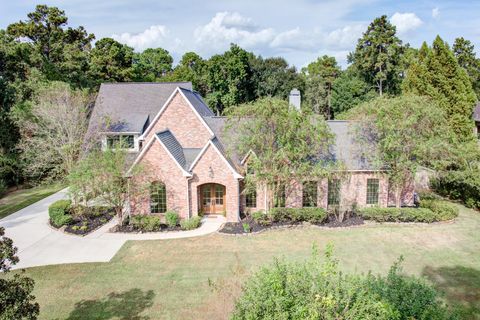 Photo of 3811 Rayford Road, Spring, TX 77386 (MLS # 2883341)