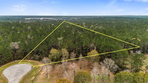 Photo of 4504 Mistywood Court, Montgomery, TX 77316 (MLS # 82512368)