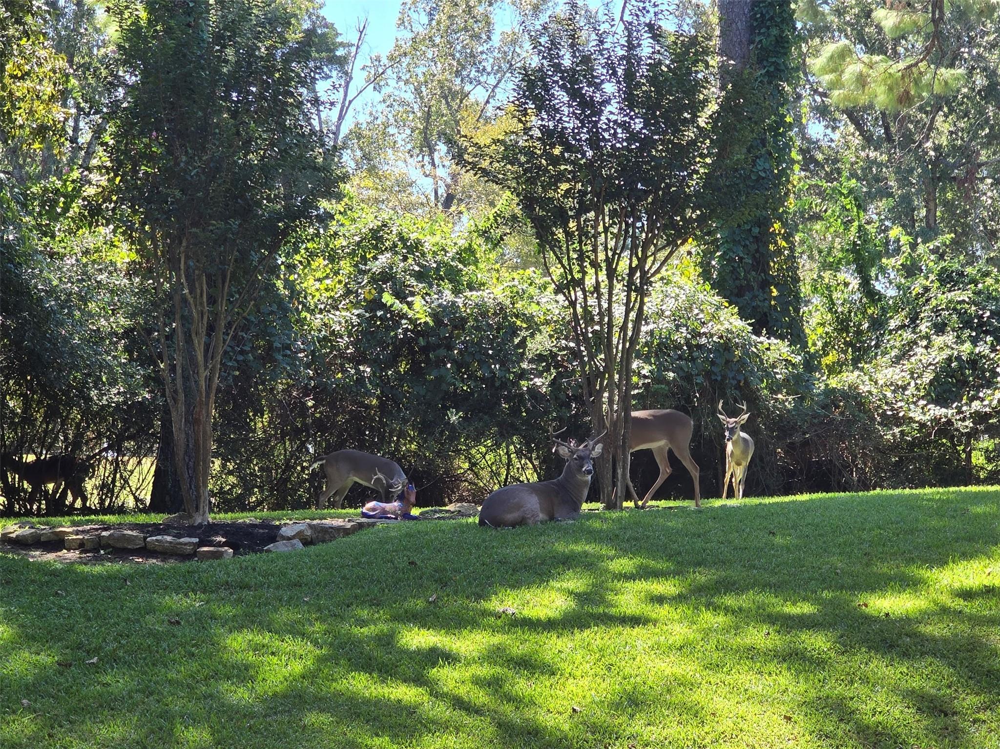 13431 Cherry Hill Circle