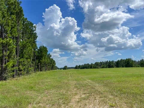 Photo of 22 State Highway 94, Groveton, TX 75845 (MLS # 56947472)