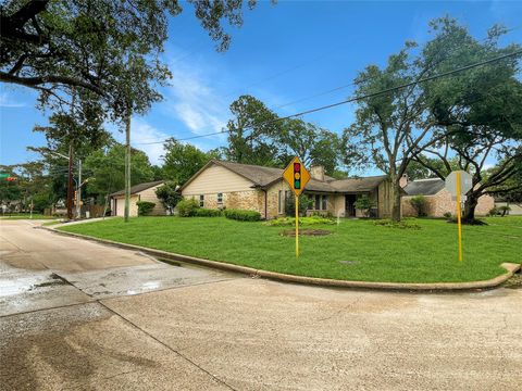 Photo of 13234 Holston Hills Drive, Houston, TX 77069 (MLS # 28210423)