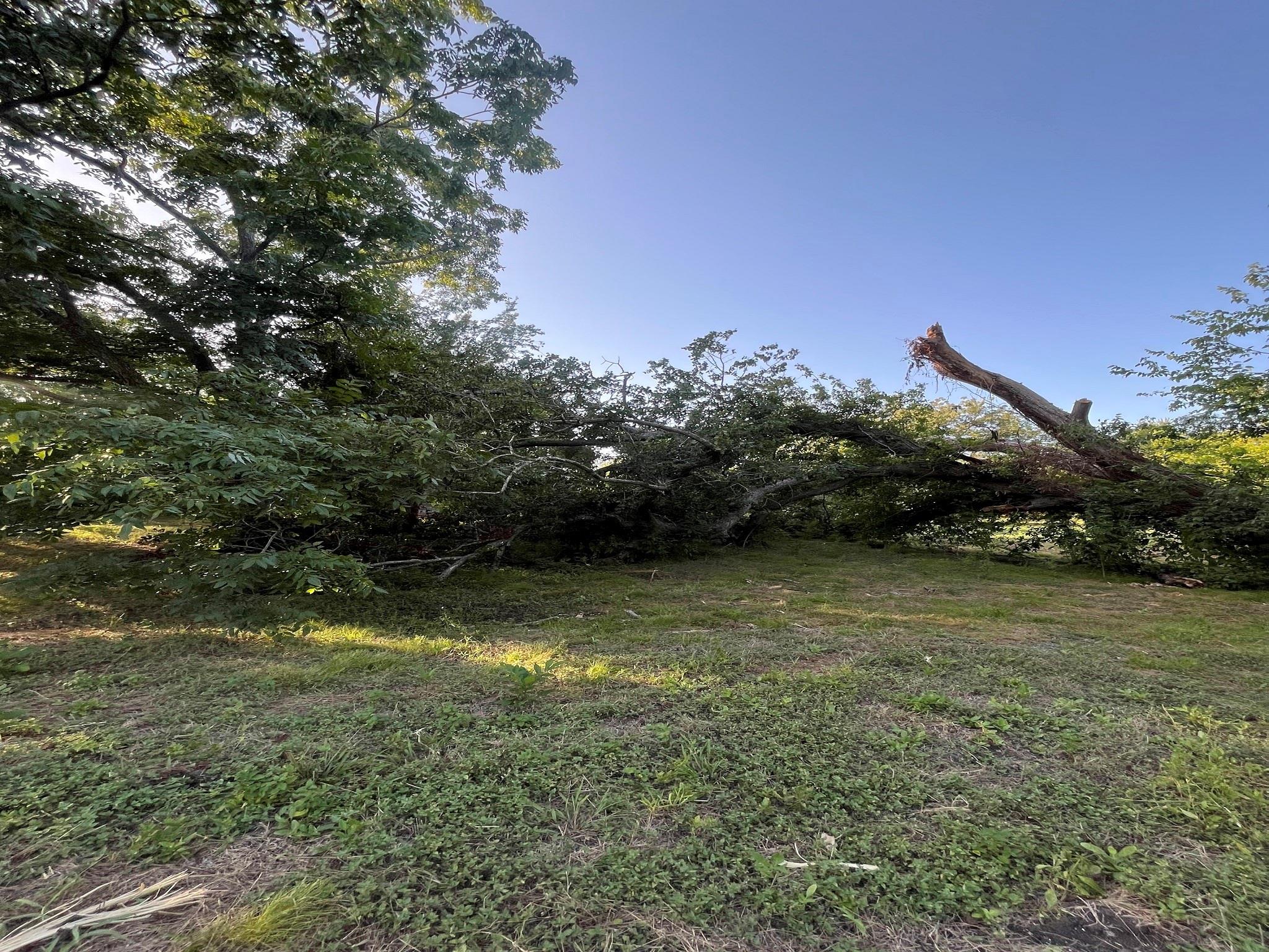 13259 Fm 1371