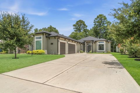 Photo of 91 Wyndemere Drive, Montgomery, TX 77356 (MLS # 80316786)