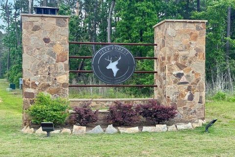 Photo of 54 Coyote Run, New Waverly, TX 77358 (MLS # 47643001)