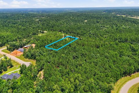 Vacant Land For Sale - 54 Coyote Run<br/> Walker County, New Waverly, TX 77358