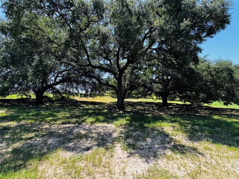 Photo of 401 N Knezek Road N, Flatonia, TX 78941 (MLS # 58463273)