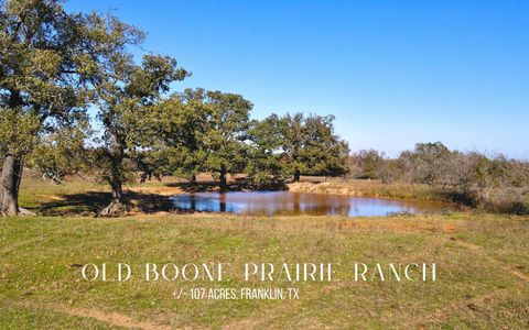 Vacant Land For Sale - 4834 Old Boone Prairie Road - 108 Acres Rd<br/> Franklin, TX 77856