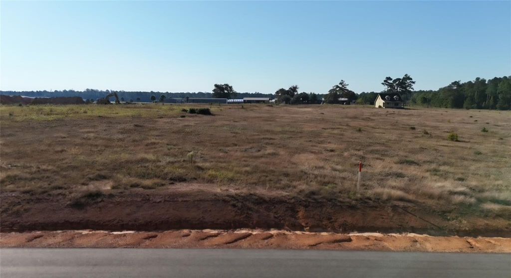 Photo of 197 Overhill Court, Hillister, TX 77624 (MLS # 76561596)