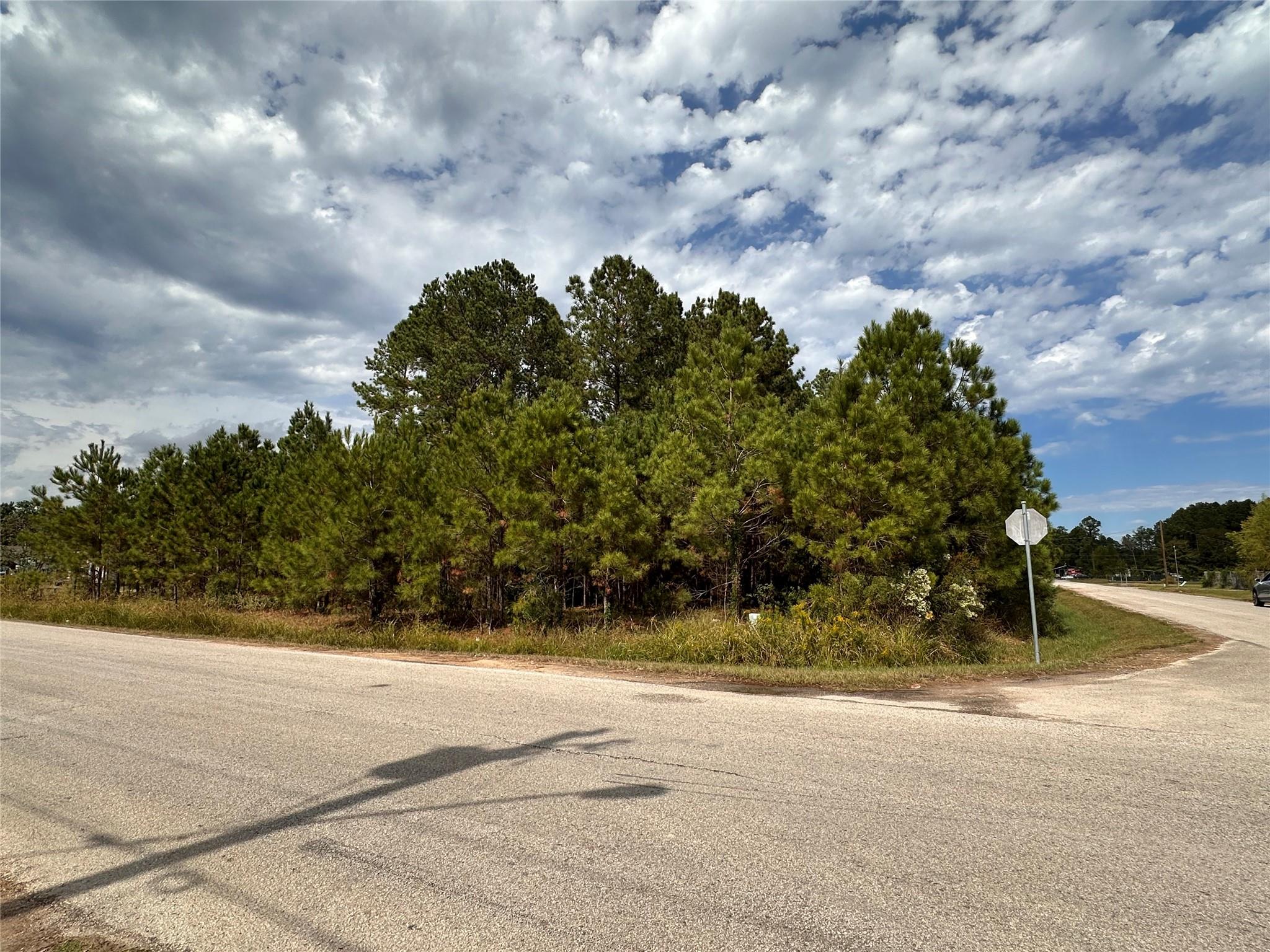 3116 County Road 3479b