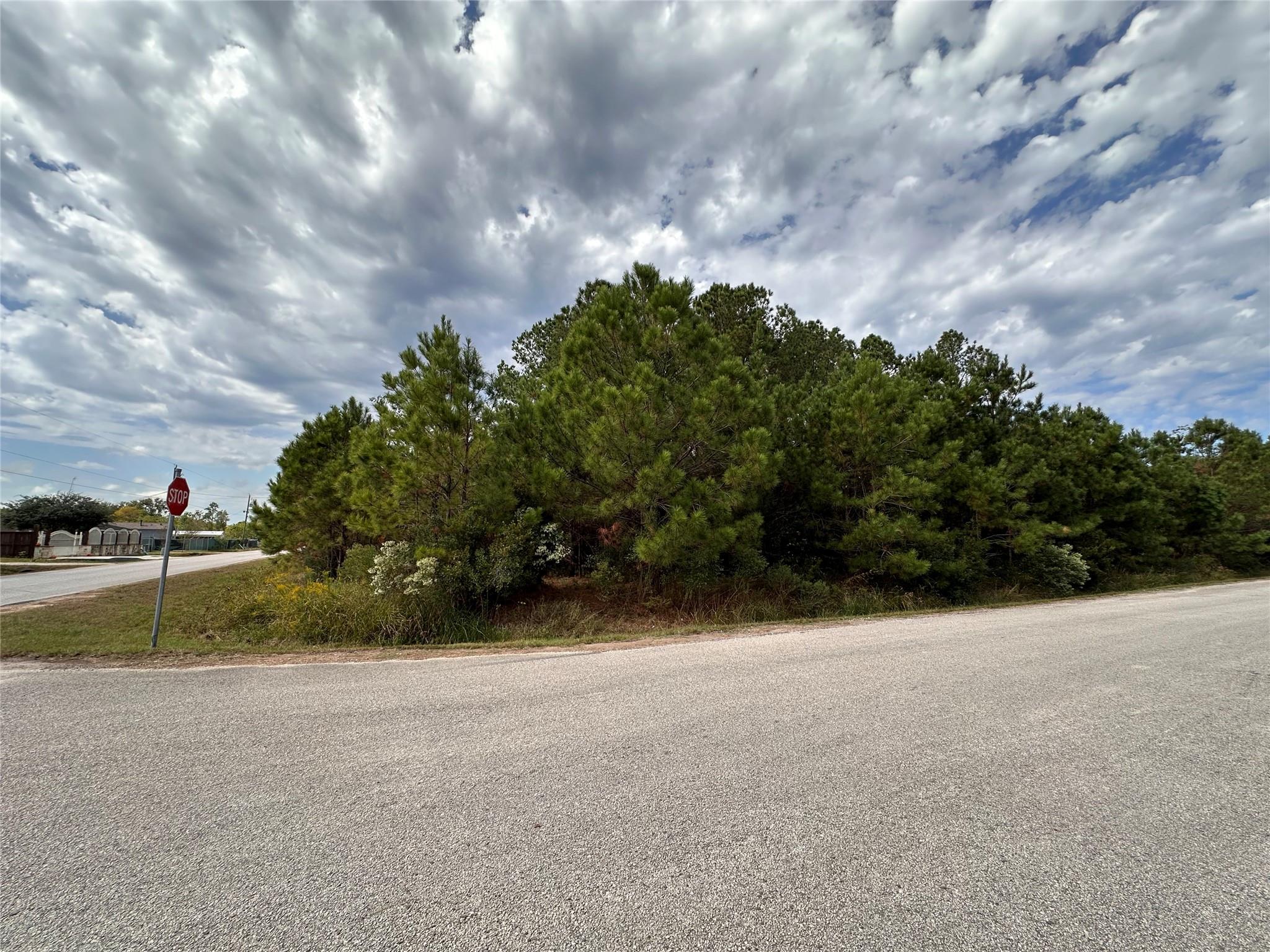 3116 County Road 3479b