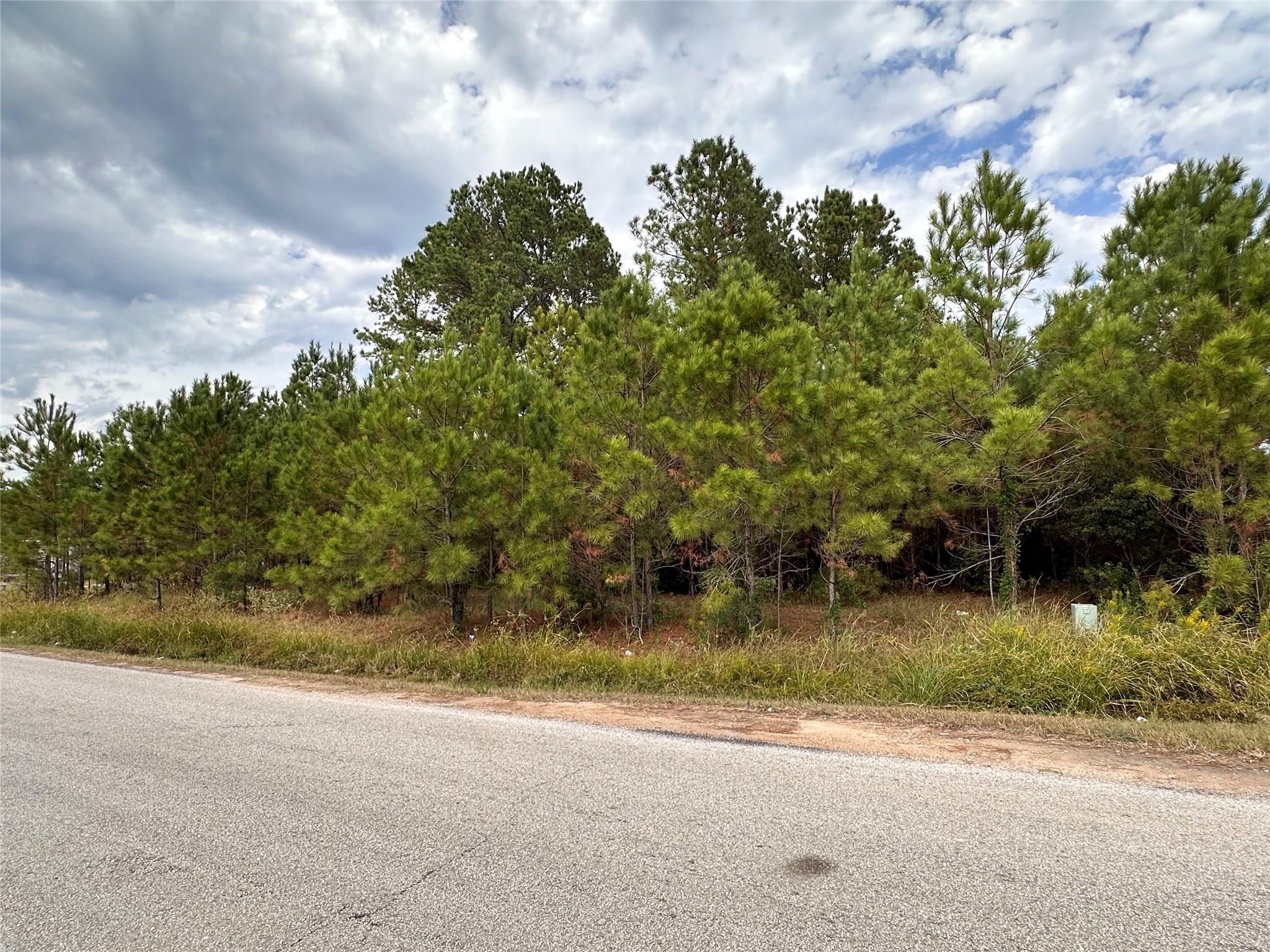 3116 County Road 3479b