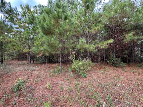 Photo of 3116 County Road 3479b, Cleveland, TX 77327 (MLS # 64213915)