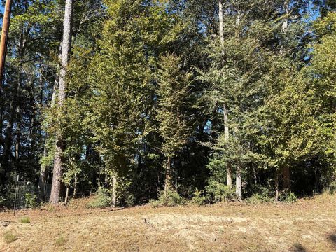 Photo of 0 L C Herschap Lane, Livingston, TX 77351 (MLS # 45848458) Photo of 0 L C Herschap Lane, Livingston, TX 77351 (MLS # 45848458)