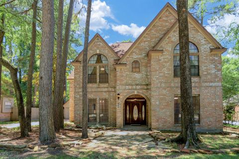 Photo of 127 Rush Haven Drive, Spring, TX 77381 (MLS # 45851725)