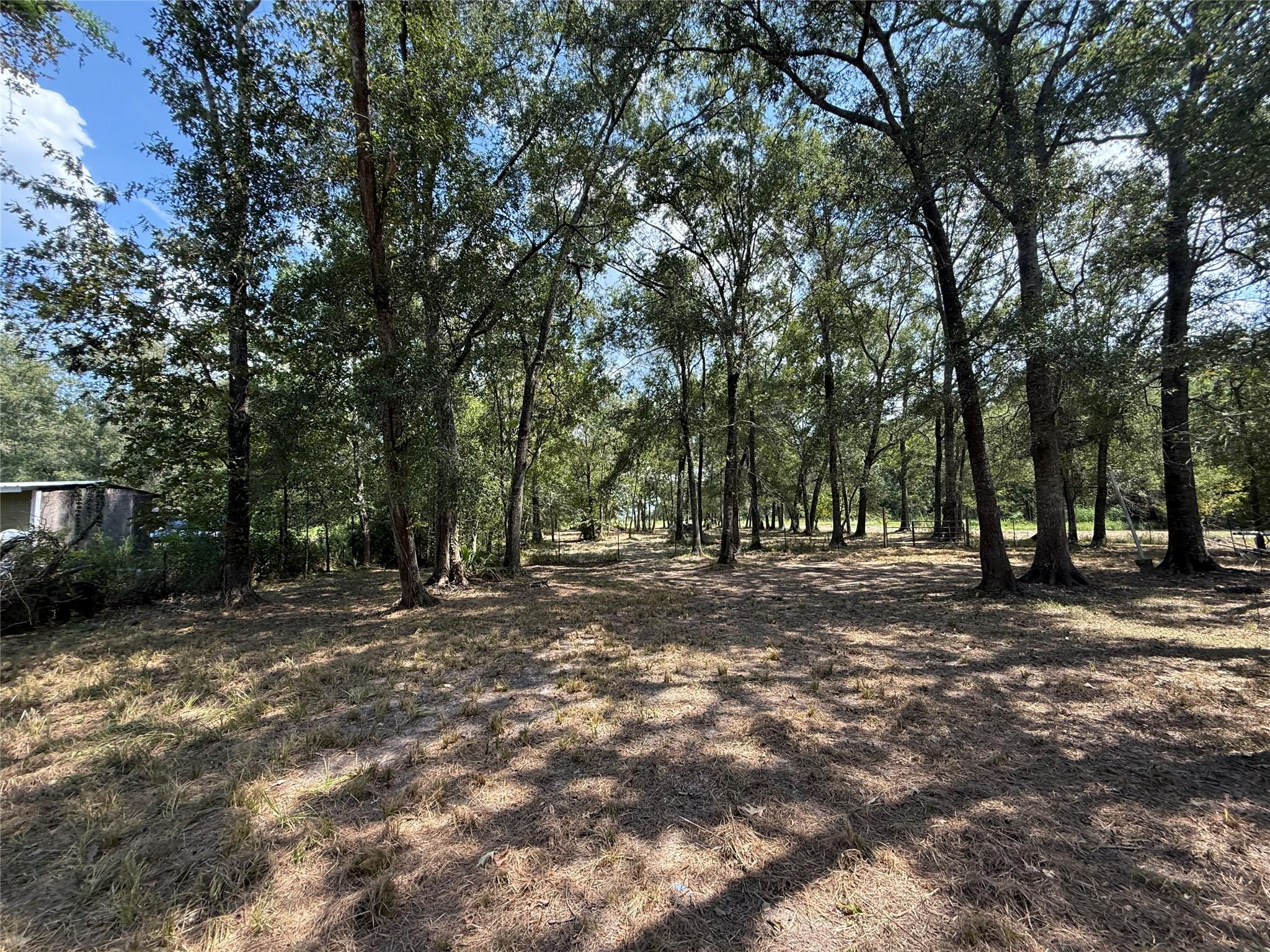 384 County Road 4017