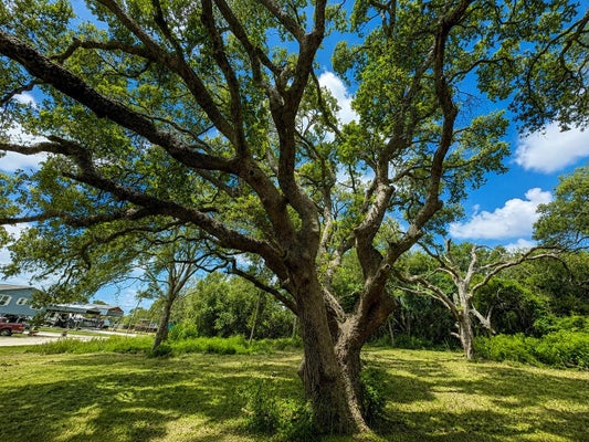 0 RIVERSIDE DRIVE, PALACIOS, TX 77465 - Image 89cafa32f44bcc2edf32e5bab7d42810/1404980909
