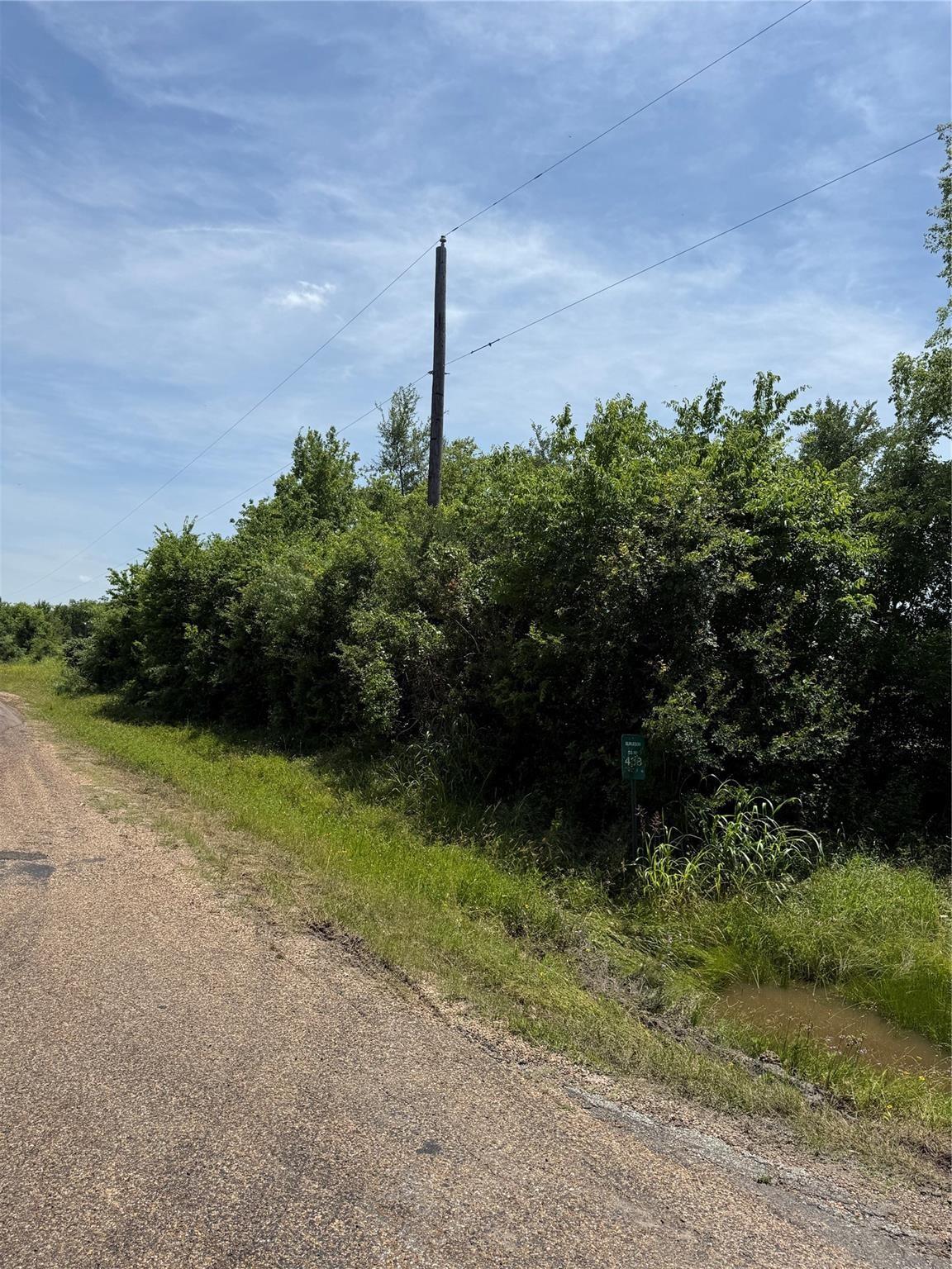 0 County Road 438