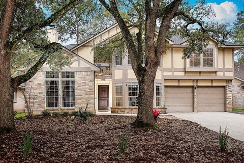 49 Country Forest Court The Woodlands TX 77380