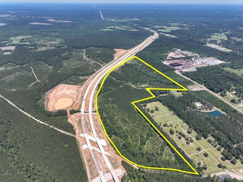 Photo of 17 Union Springs Road, Corrigan, TX 75939 (MLS # 41206194)