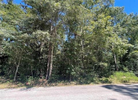 Photo of 0 County Road 3669, Splendora, TX 77372 (MLS # 68046608)