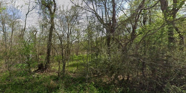 831 DREW'S LANDING RD, GOODRICH, TX 77335 - Image 8aad2d66e5eb28b6c97d99f587fec801/3751035943